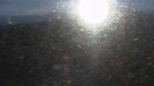 Sporthotel Kurzovní - Petrovy kameny - 18.12.2025 v 08:25 Sporthotel Kurzovní - Petrovy kameny - 18.12.2025 v 08:25