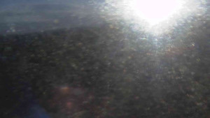 Sporthotel Kurzovní - Petrovy kameny - 18.12.2025 v 09:00 Sporthotel Kurzovní - Petrovy kameny - 18.12.2025 v 09:00