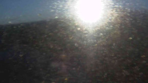 Sporthotel Kurzovní - Petrovy kameny - 19.12.2025 v 08:25 Sporthotel Kurzovní - Petrovy kameny - 19.12.2025 v 08:25