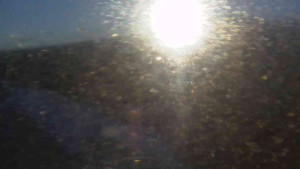 Sporthotel Kurzovní - Petrovy kameny - 27.12.2025 v 08:25 Sporthotel Kurzovní - Petrovy kameny - 27.12.2025 v 08:25