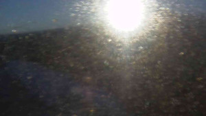 Sporthotel Kurzovní - Petrovy kameny - 27.12.2025 v 08:30 Sporthotel Kurzovní - Petrovy kameny - 27.12.2025 v 08:30