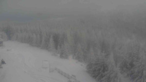 Sporthotel Kurzovní - Petrovy kameny - 5.1.2026 v 14:00 Sporthotel Kurzovní - Petrovy kameny - 5.1.2026 v 14:00