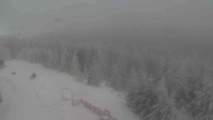 Sporthotel Kurzovní - Petrovy kameny - 8.1.2026 v 13:10 Sporthotel Kurzovní - Petrovy kameny - 8.1.2026 v 13:10