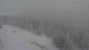 Sporthotel Kurzovní - Petrovy kameny - 8.1.2026 v 13:20 Sporthotel Kurzovní - Petrovy kameny - 8.1.2026 v 13:20