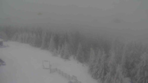 Sporthotel Kurzovní - Petrovy kameny - 31.1.2026 v 07:50 Sporthotel Kurzovní - Petrovy kameny - 31.1.2026 v 07:50