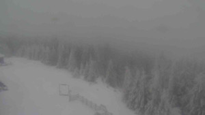 Sporthotel Kurzovní - Petrovy kameny - 31.1.2026 v 08:00 Sporthotel Kurzovní - Petrovy kameny - 31.1.2026 v 08:00