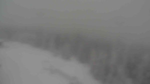 Sporthotel Kurzovní - Petrovy kameny - 31.1.2026 v 08:15 Sporthotel Kurzovní - Petrovy kameny - 31.1.2026 v 08:15