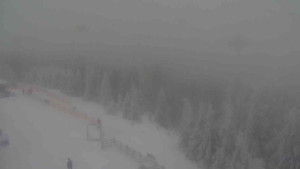 Sporthotel Kurzovní - Petrovy kameny - 31.1.2026 v 11:20 Sporthotel Kurzovní - Petrovy kameny - 31.1.2026 v 11:20