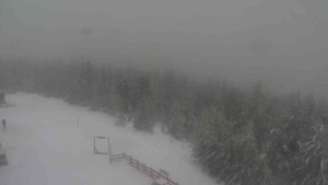 Sporthotel Kurzovní - Petrovy kameny - 14.2.2026 v 14:00 Sporthotel Kurzovní - Petrovy kameny - 14.2.2026 v 14:00