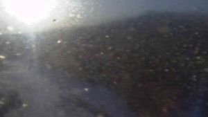 Sporthotel Kurzovní - Petrovy kameny - 7.3.2026 v 07:20 Sporthotel Kurzovní - Petrovy kameny - 7.3.2026 v 07:20