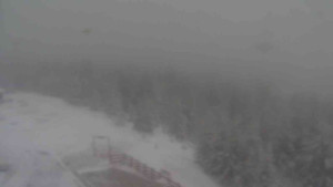 Sporthotel Kurzovní - Petrovy kameny - 27.3.2026 v 09:00 Sporthotel Kurzovní - Petrovy kameny - 27.3.2026 v 09:00