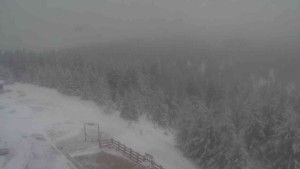 Sporthotel Kurzovní - Petrovy kameny - 27.3.2026 v 12:45 Sporthotel Kurzovní - Petrovy kameny - 27.3.2026 v 12:45