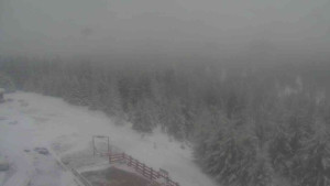 Sporthotel Kurzovní - Petrovy kameny - 27.3.2026 v 13:15 Sporthotel Kurzovní - Petrovy kameny - 27.3.2026 v 13:15