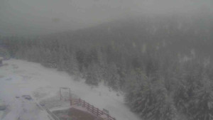 Sporthotel Kurzovní - Petrovy kameny - 27.3.2026 v 13:30 Sporthotel Kurzovní - Petrovy kameny - 27.3.2026 v 13:30