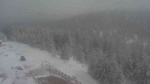 Sporthotel Kurzovní - Petrovy kameny - 27.3.2026 v 14:00 Sporthotel Kurzovní - Petrovy kameny - 27.3.2026 v 14:00