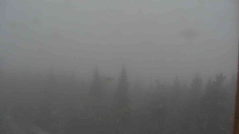 Snímek    25.10.2025 v 08:30
