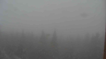 Snímek    25.10.2025 v 14:30