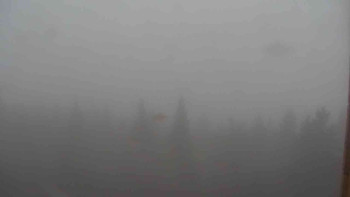 Snímek    26.10.2025 v 10:00