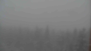 Snímek    27.10.2025 v 12:30