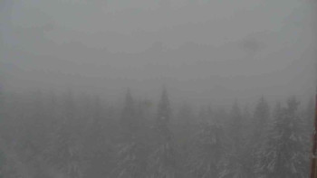Snímek    27.10.2025 v 13:00