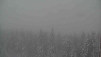 Snímek    28.10.2025 v 06:30