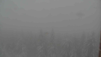 Snímek    28.10.2025 v 13:00