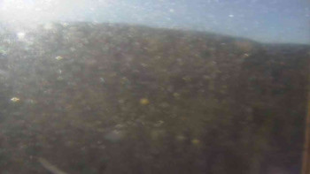 Snímek    31.10.2025 v 09:30