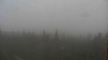 Snímek    1.11.2025 v 14:30