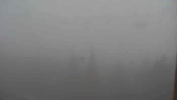 Snímek    1.11.2025 v 15:30