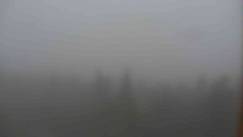 Snímek    1.11.2025 v 16:00