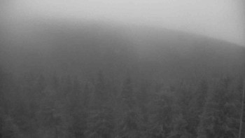 Snímek    3.11.2025 v 06:30