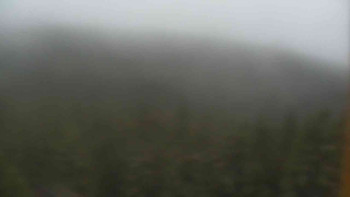 Snímek    3.11.2025 v 08:00