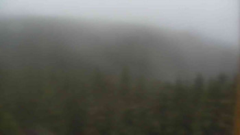 Snímek    3.11.2025 v 08:30