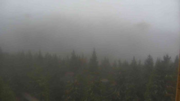 Snímek    3.11.2025 v 09:00