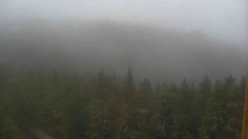 Snímek    3.11.2025 v 10:00