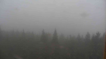 Snímek    3.11.2025 v 10:30