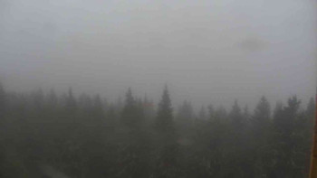 Snímek    3.11.2025 v 13:00