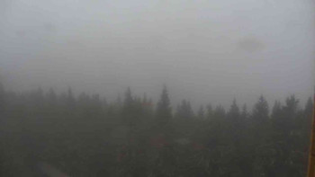 Snímek    3.11.2025 v 13:30