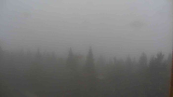 Snímek    3.11.2025 v 15:00