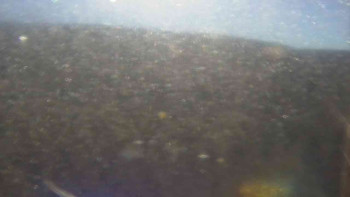 Snímek    4.11.2025 v 11:00