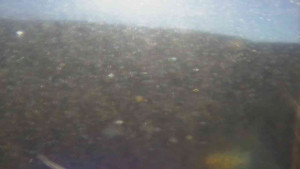 Sporthotel Kurzovní - Vysoké hole - 5.11.2025 v 11:00 Sporthotel Kurzovní - Vysoké hole - 5.11.2025 v 11:00