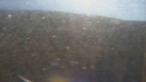 Sporthotel Kurzovní - Vysoké hole - 5.11.2025 v 11:30 Sporthotel Kurzovní - Vysoké hole - 5.11.2025 v 11:30