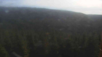 Snímek 5.11.2025 v 13:30