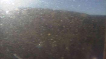 Snímek 6.11.2025 v 09:30