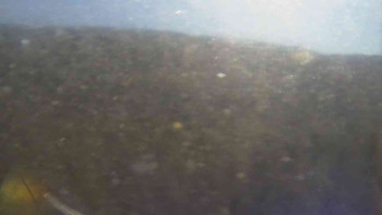 Snímek 6.11.2025 v 12:00