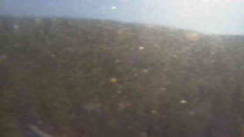 Snímek 6.11.2025 v 12:30