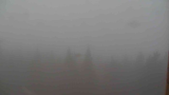 Snímek 7.11.2025 v 07:00