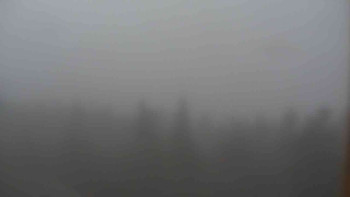 Snímek 7.11.2025 v 08:30