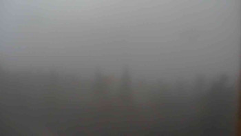 Snímek 7.11.2025 v 09:00