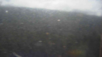 Snímek 7.11.2025 v 11:00